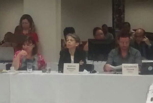 apaf-extraordinaria-acontece-em-brasilia-com-participacao-do-crp-rj