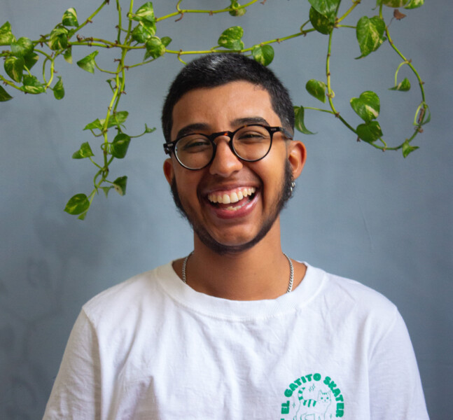 Bento Rezende de Araujo (CRP 05/64776)